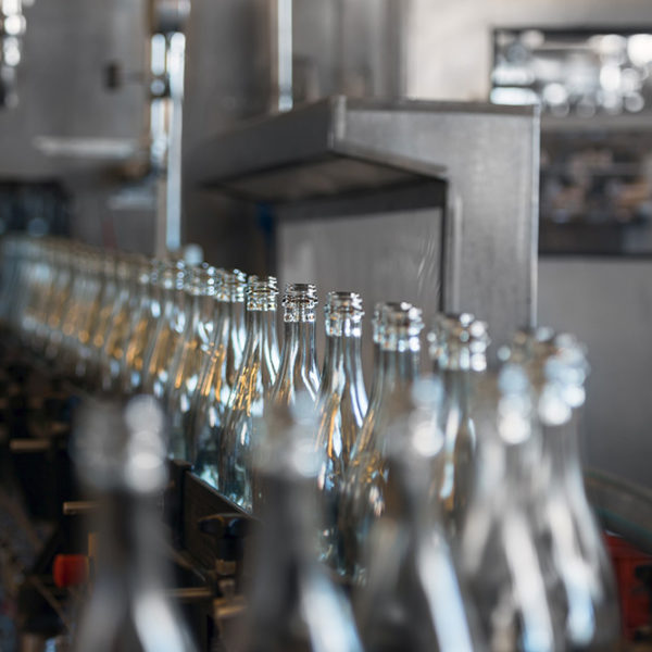 Many bottles on conveyor belt in factory